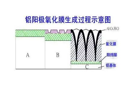 草莓影院在线观看硬质阳极氧化膜生成过程